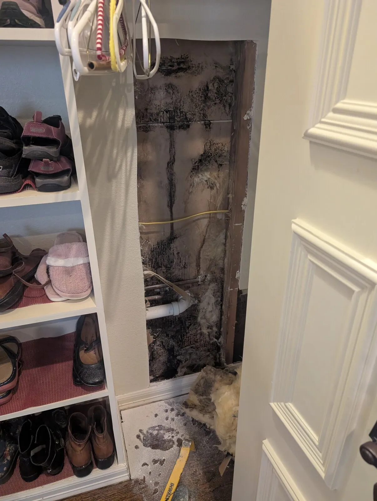 Dark growth spreading across the back wall of a closet behind the shelving.